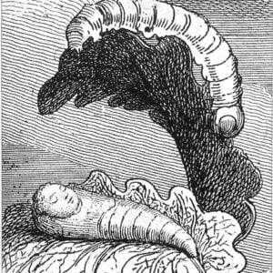 Chrysalis: The Psychology of Transformation