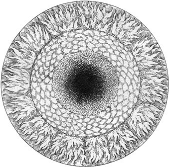 Archetypal Energy Constellations in Analysis