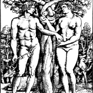 A Psychological Approach to the Bible II