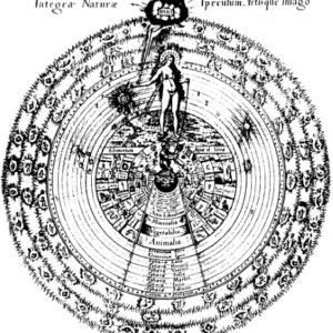 The Collective Unconscious and the Shape of Psychopathology