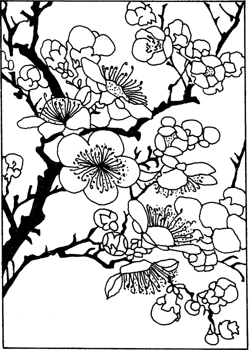 The Resilient Spirit: A Buddhist Approach to Jung's Psychology
