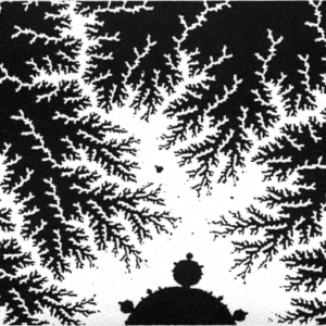 Organizational Life as Spiritual Practice