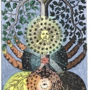 Root, Uprooting, Rootedness