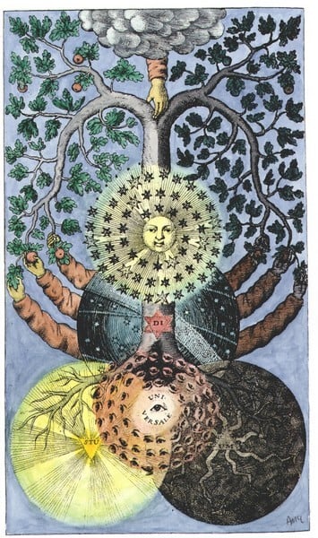 Root, Uprooting, Rootedness