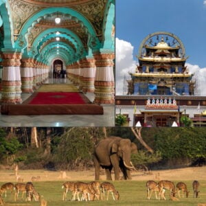Jung in India 2023 CEs