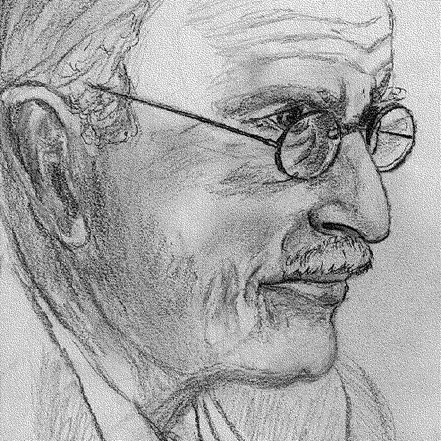 Jungian Psychology and the Human Future: Stewarding Jung’s Legacy